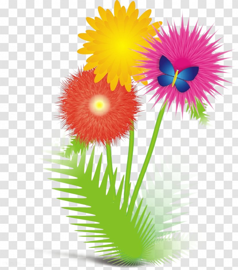 Transvaal Daisy Floral Design Illustration - Flowering Plant - Decorative Wood Material Transparent PNG