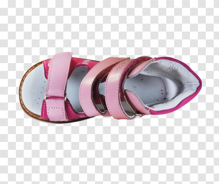Slide Pink M Shoe Sandal Cross-training Transparent PNG
