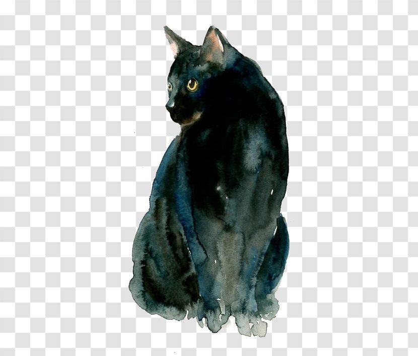 Thai Cat Kitten Watercolor: Animals Watercolor Painting - Grumpy - Black Transparent PNG