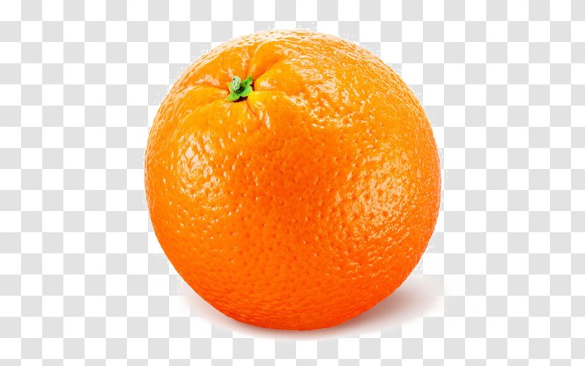 Valencia Orange Citrus × Sinensis Fruit Shutterstock Image - Clipart Transparent PNG
