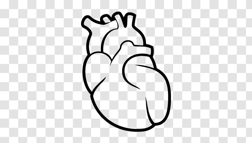 Heart Drawing Circulatory System Human Body Anatomy - Silhouette - Ears Transparent PNG