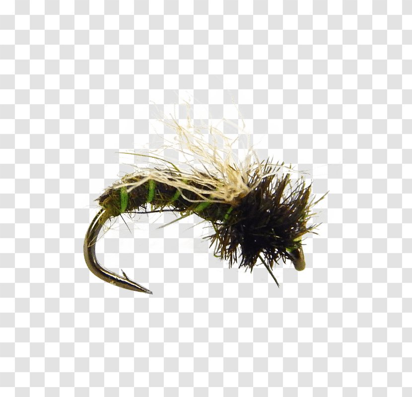 Caddisfly Fly Fishing Pupa Insect Larva - Tying Transparent PNG