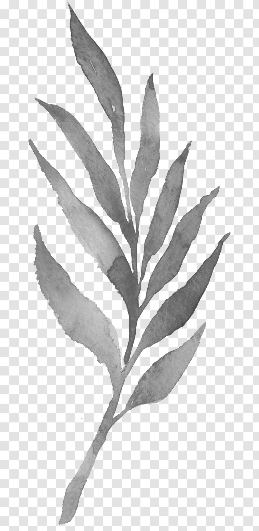 Twig Plant Stem Leaf White Black - Branch - Ink Bamboo Leaves Transparent PNG