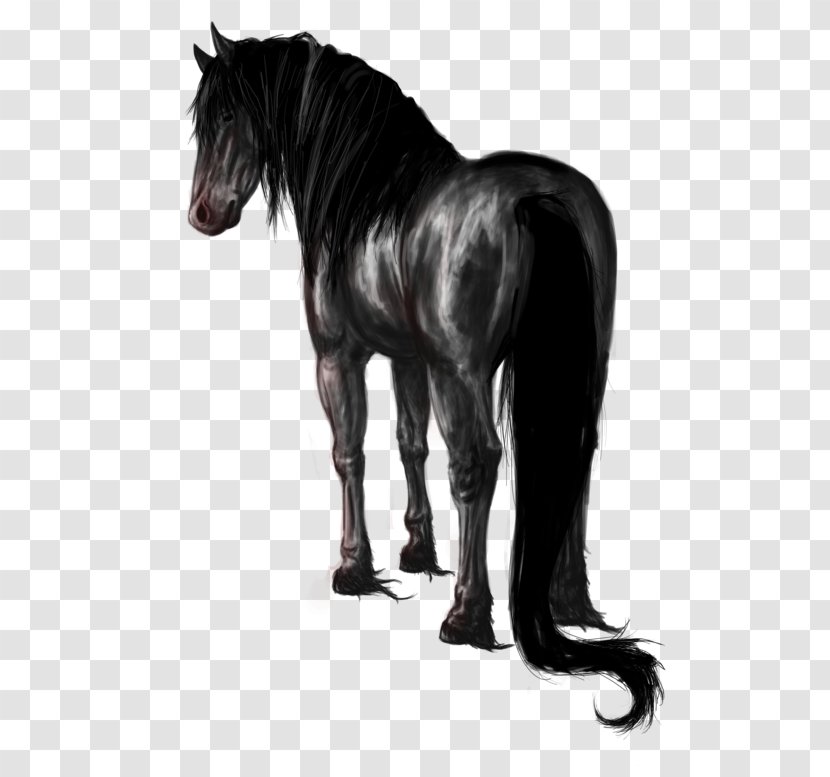 Stallion Mustang Pony Mare Halter - Mane - Grim Reaper Transparent PNG
