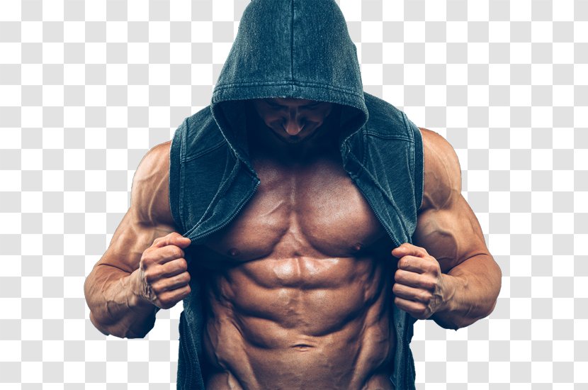 Anabolic Steroid Abdominal Exercise Muscle Bodybuilding - Silhouette - Ripped Transparent PNG