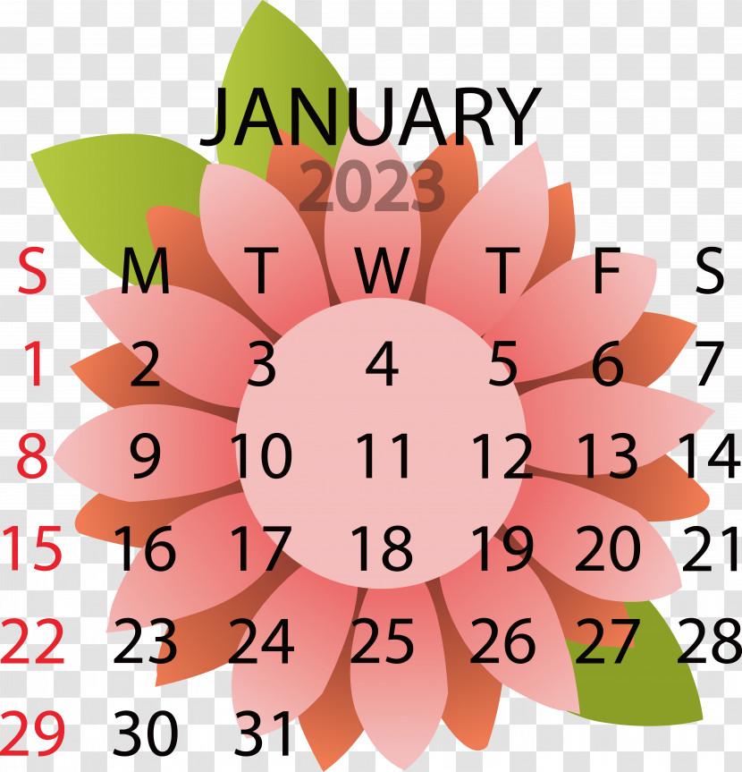 Flower Line Petal Calendar Geometry Transparent PNG