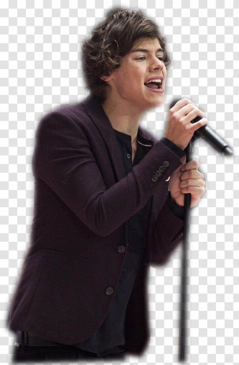 Microphone Clip Art Image Harry Styles - Summer Concert Background Transparent PNG