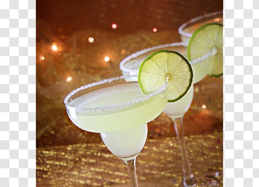 Gimlet Cocktail Garnish Daiquiri Margarita Pisco Sour - Martini Transparent PNG