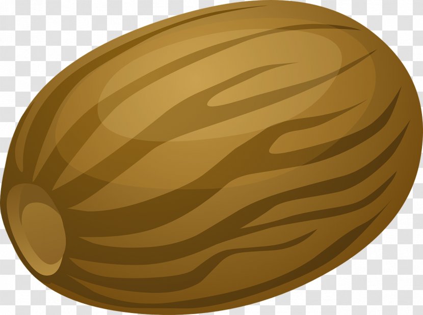 Nutmeg Vector Graphics Fruit Spice - Nut Clipart Transparent PNG