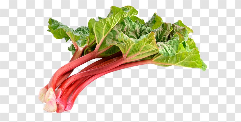 Dietary Supplement Health Food Fiber Vitamin - Garden Rhubarb Transparent PNG