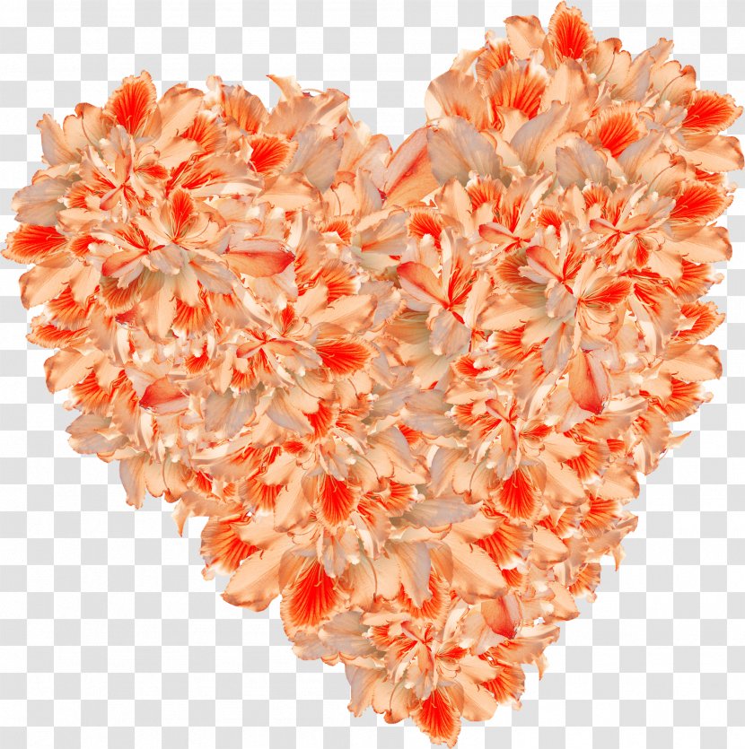 Orange Heart Flower - Beautiful Flowers Transparent PNG