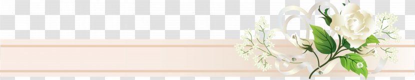 Cut Flowers Floral Design Grasses Plant Stem Transparent PNG