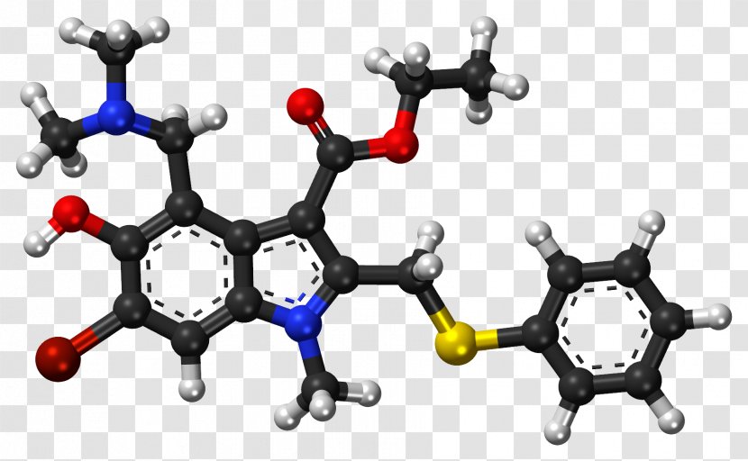 Psilocybin Mushroom Psychedelic Drug Psilocin Hallucinogen - Frame - Model Transparent PNG