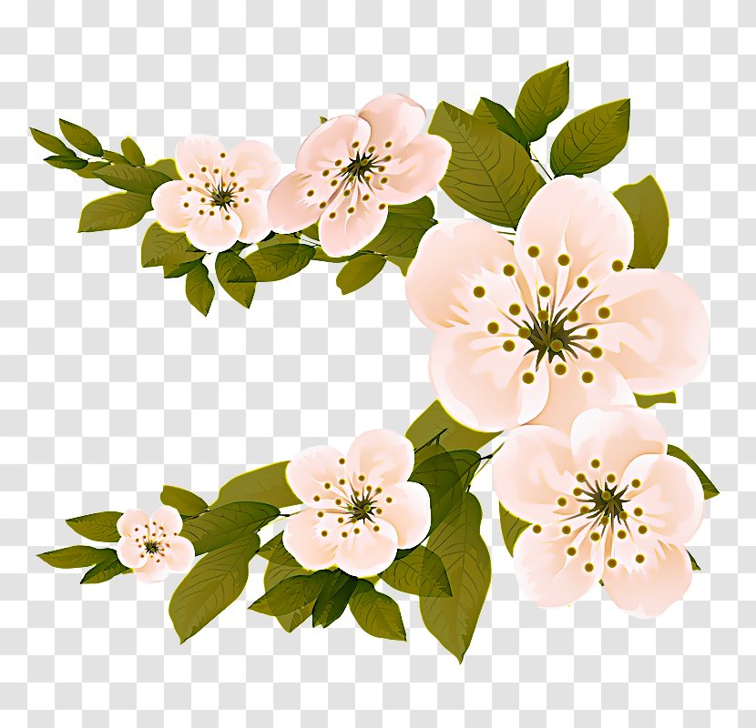 Flower Petal Plant Blossom Flowering - Branch - Rose Family Rosa Rubiginosa Transparent PNG