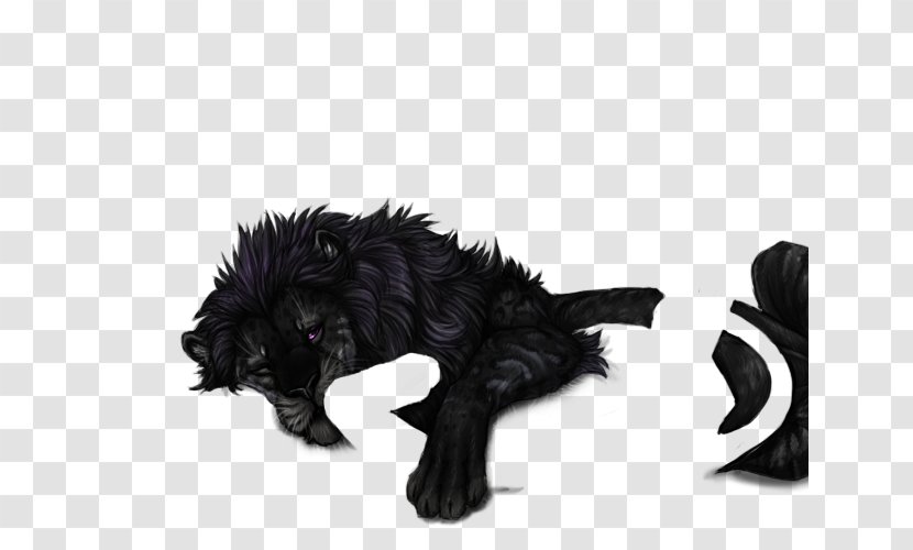 Affenpinscher Cat Fur Black Panther Dog Transparent PNG