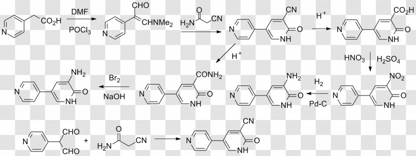 Amrinone Milrinone Heart Failure Diuretic United States Pharmacopeia - Flower Transparent PNG