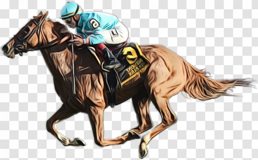 Horse Animal Sports Rein Racing Working - Rodeo Transparent PNG