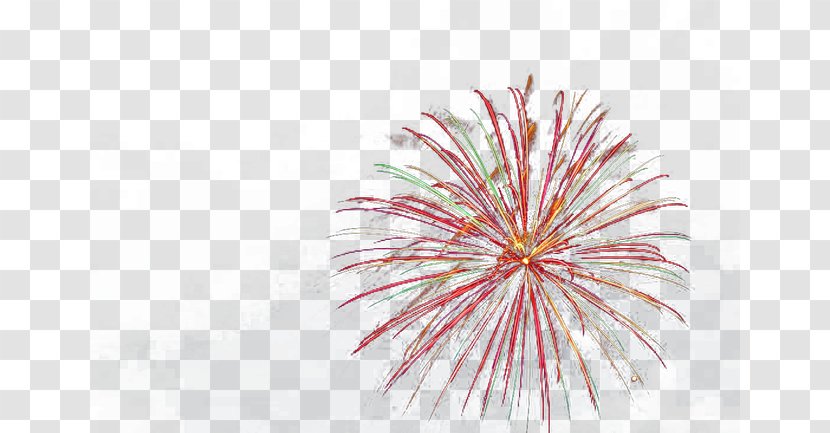 Fireworks Festival Firecracker Chinese New Year - Petal Transparent PNG