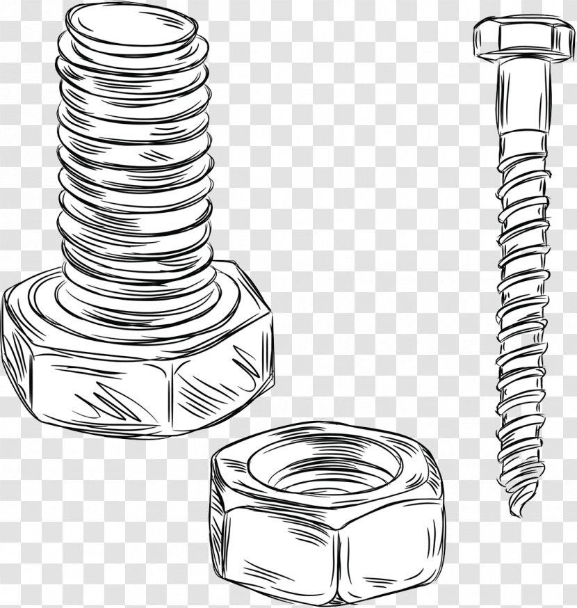 Bolt Drawing Nut Screw Illustration - Cartoon - Wirescrew Nuts Transparent PNG