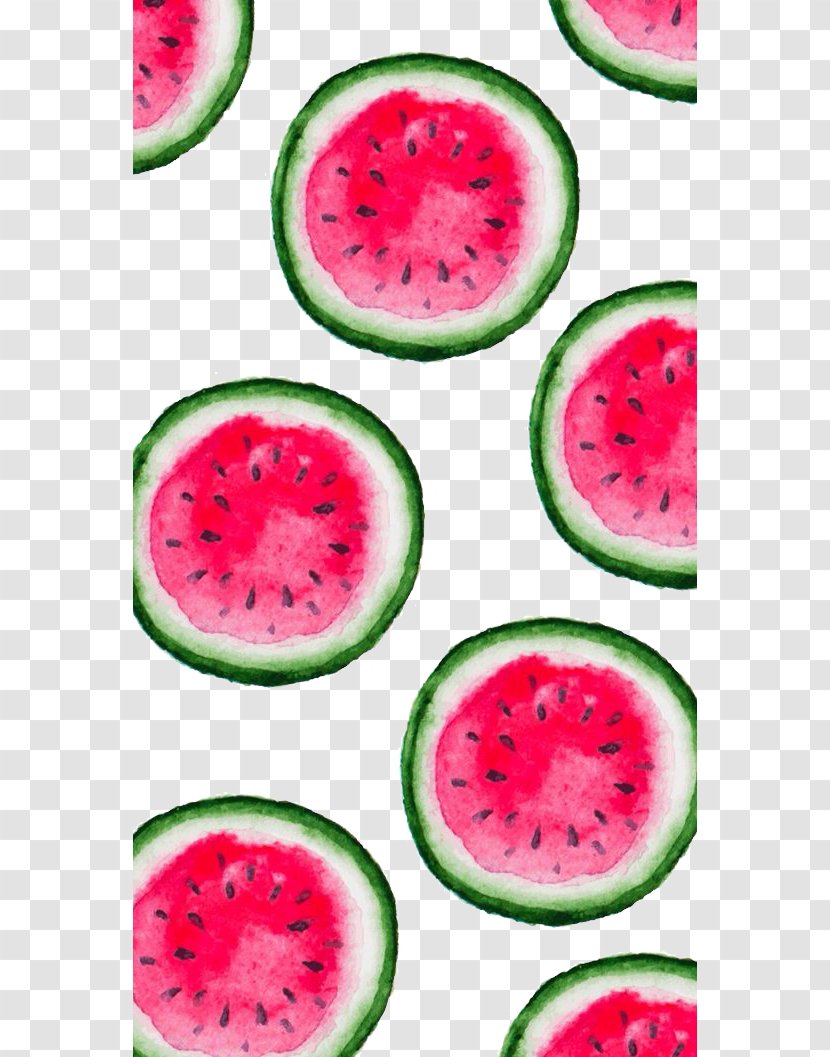 IPhone X Summer Fruit Wallpaper - Cucumber Gourd And Melon Family - Watermelon Transparent PNG