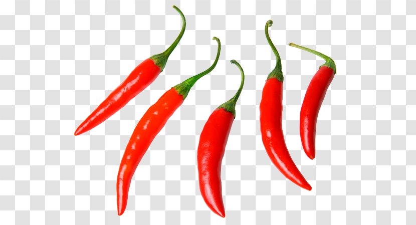 Birds Eye Chili Serrano Pepper Cayenne Jalapexf1o Tabasco - The Red Transparent PNG