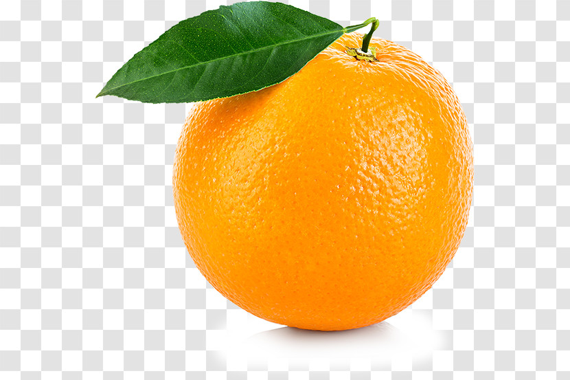 Orange Transparent PNG