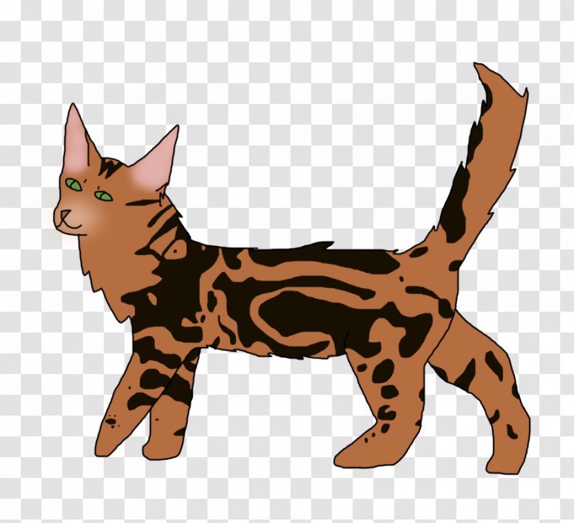 Whiskers Kitten Wildcat Dog - Canidae Transparent PNG