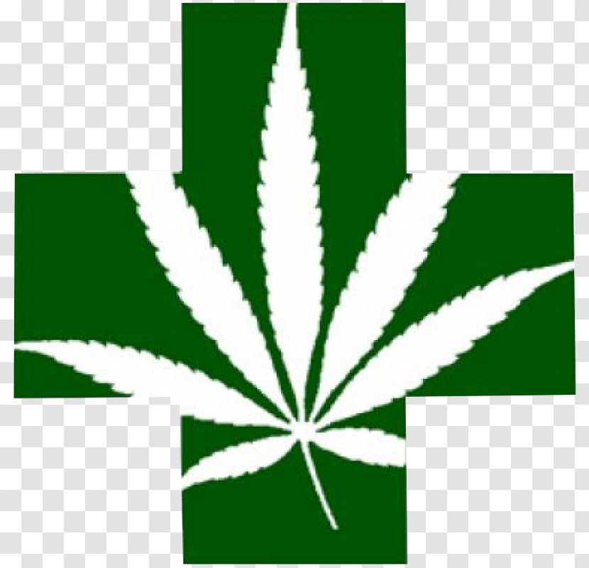 Encanto Green Cross Dispensary Medical Cannabis Shop - Kush Transparent PNG