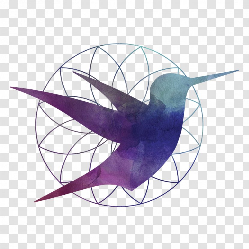 Hummingbird Wing Logo - Feather Transparent PNG