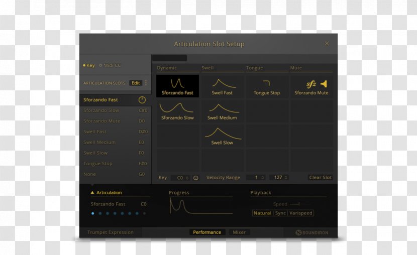 Audio Power Amplifier Electronics AV Receiver Radio - Software - Indigenous Transparent PNG