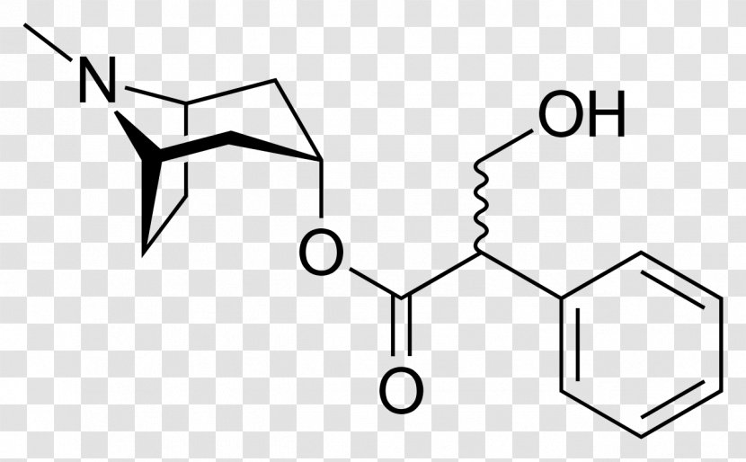 Hyoscine Hyoscyamine Belladonna Atropine Muscarinic Antagonist - Diagram - Nightshade Transparent PNG