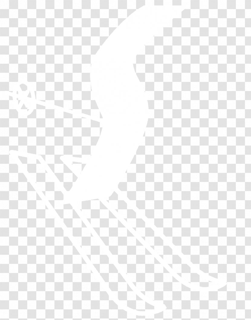 Business White HTML - Information Transparent PNG