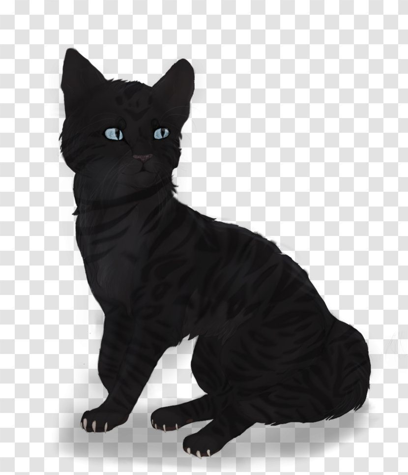 Bombay Cat Manx European Shorthair American Wirehair Korat - Domestic Shorthaired - Horrible Black Transparent PNG