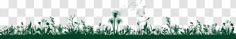 Desktop Wallpaper Grasses Energy Phenomenon White - Tree - Unkraut Transparent PNG