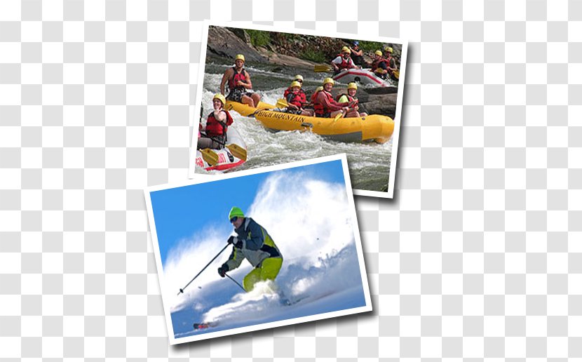 Hobby Leisure Advertising Ski Sporting Goods - Brand - Outdoor Activities Transparent PNG