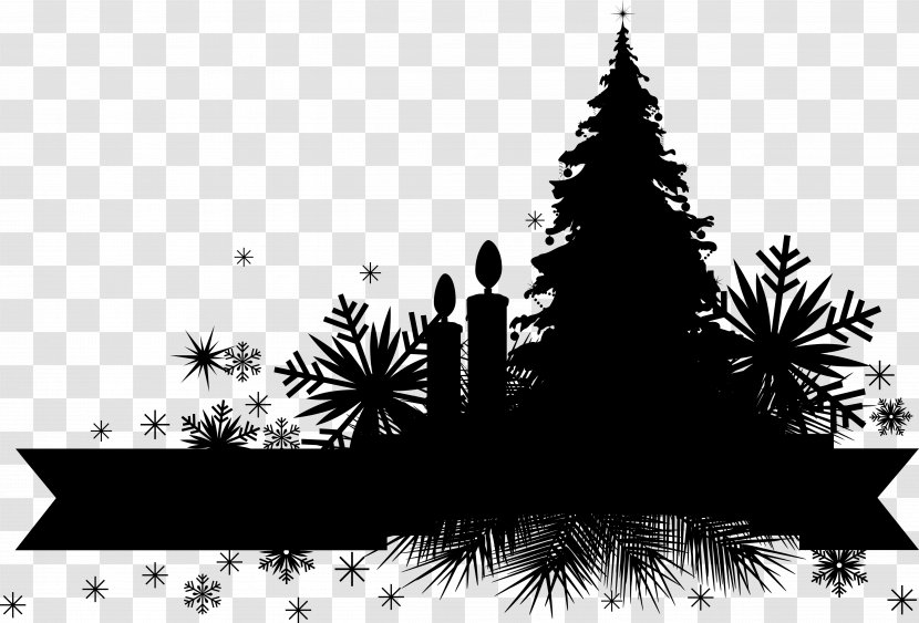Christmas Tree Spruce Fir Ornament Day - Computer Transparent PNG