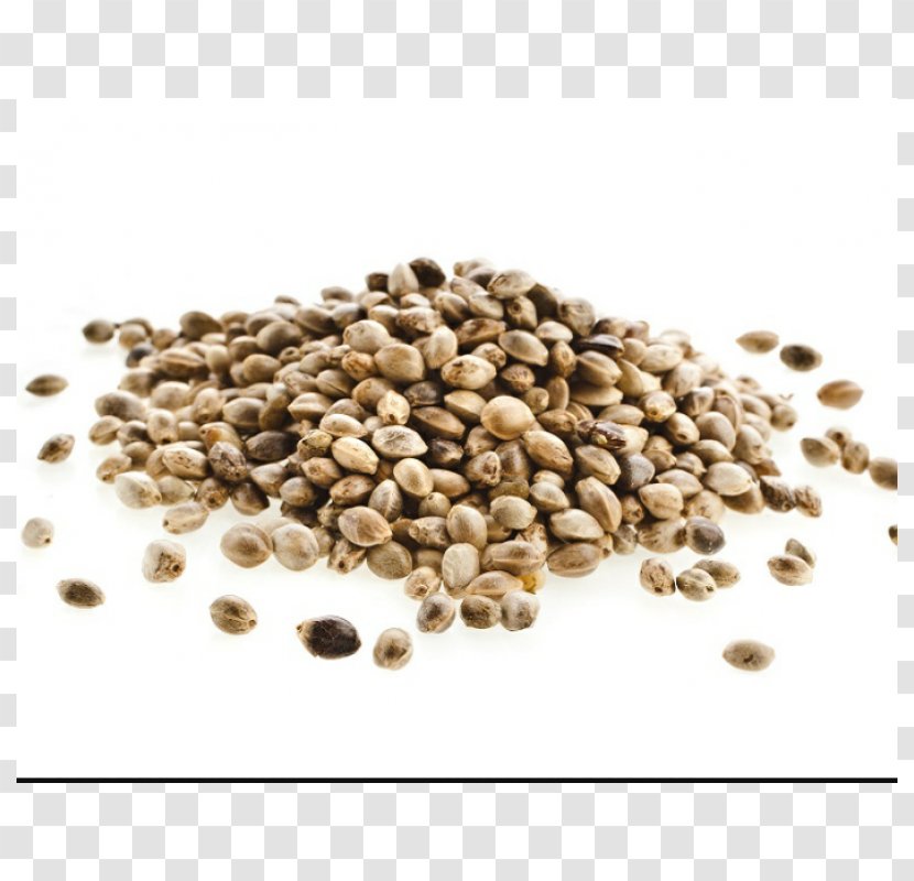Hemp Milk Oil Seed Cannabis Sativa Food - Nutrient - Sensi Seeds Transparent PNG