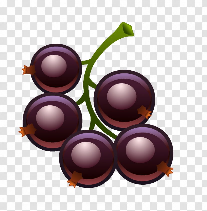 Fruit Blackcurrant Redcurrant Berry - Grapevine Family - Artichokes Transparent PNG