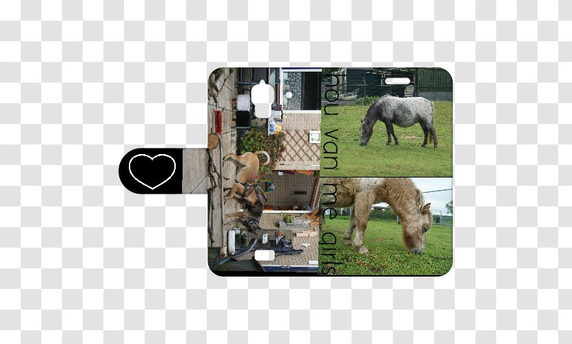 B2C Telecom Huawei Y5 Pony Smartphone Mustang - Horse Like Mammal - Y360 Transparent PNG