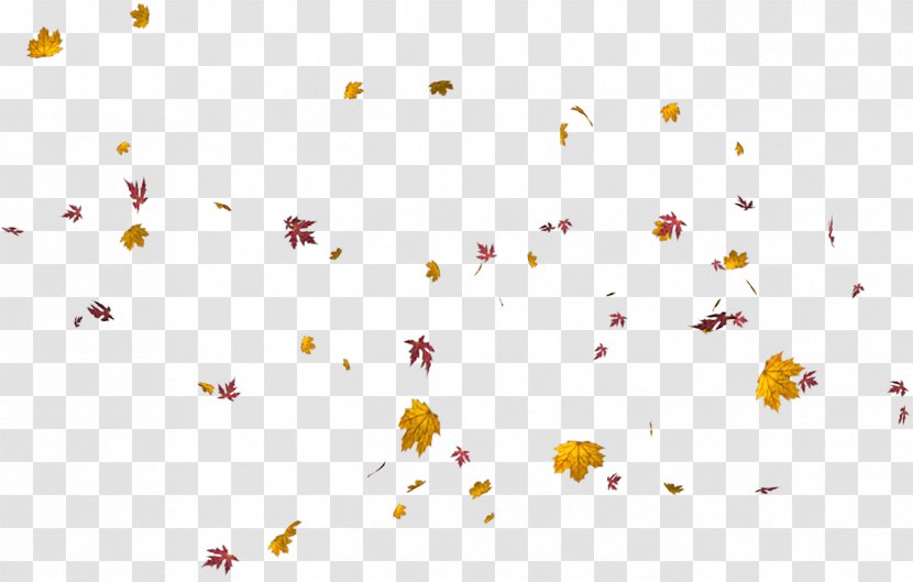 Maple Leaf Autumn Photography Transparent PNG