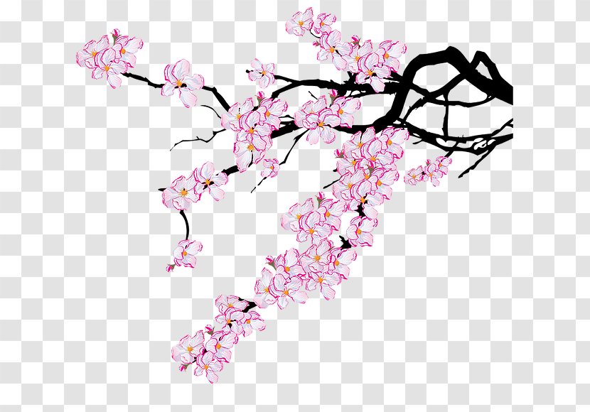 Cherry Pie Blossom - Plant Transparent PNG