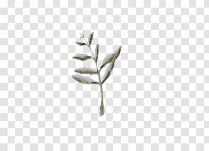 Leaf Plant Stem Twig Tree Commodity Transparent PNG