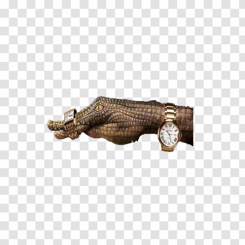 Watch - Time - Crocodile Arm Transparent PNG