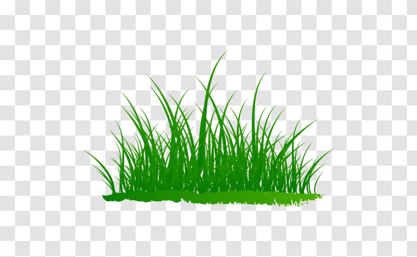 Naver Blog Sweet Grass Illustration Grasses - Plants - Gray Hair Transparent PNG