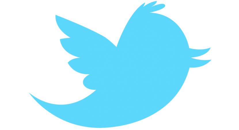 Bird Logo Clip Art - Sky - Twitter Transparent PNG