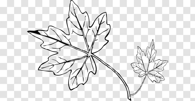 Maple Leaf Drawing Line Art Clip - Symmetry - Draw Transparent PNG