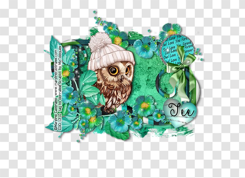 Owl Turquoise - Bird Transparent PNG