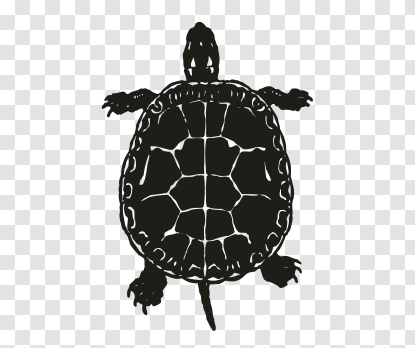 Green Sea Turtle Clip Art Reptile - Common Snapping Transparent PNG