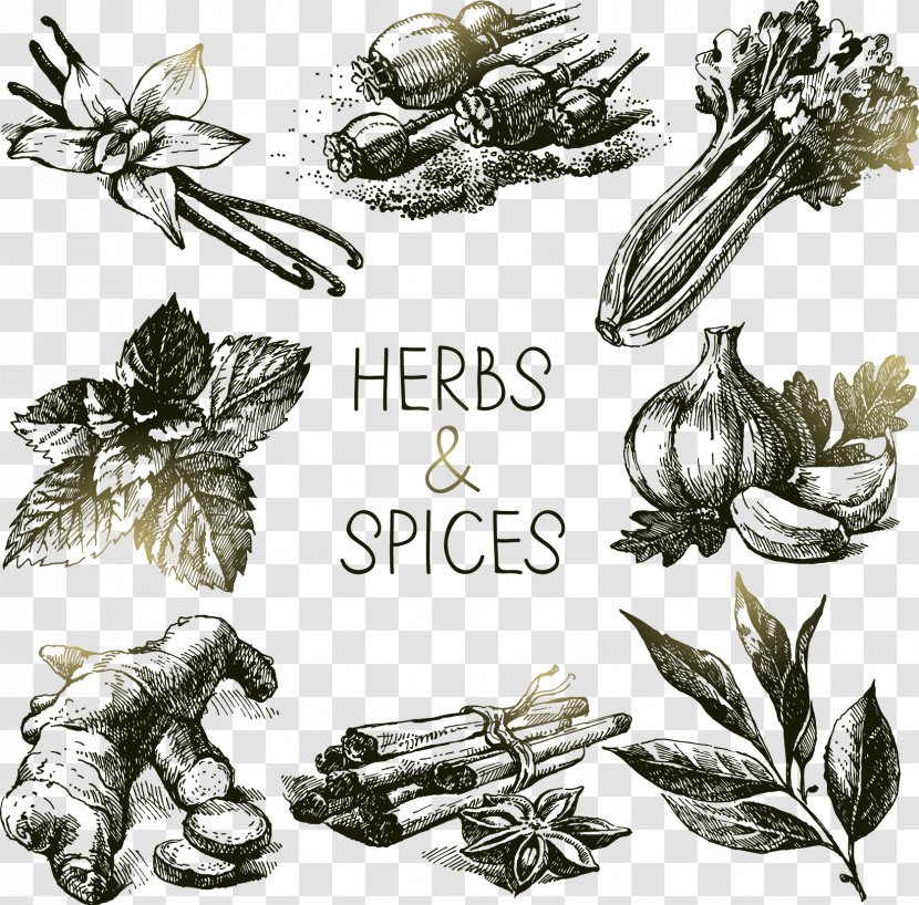 Spice Herb Drawing Royalty-free - Food - Floating A Variety Of Herbs Spices Transparent PNG