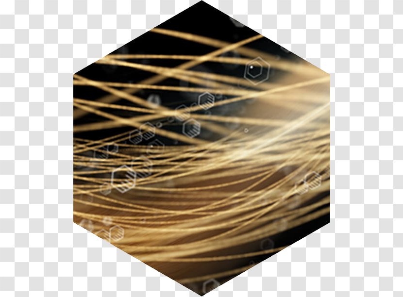 Hair Loss Minoxidil Human Growth Lotion - Regrowth Treatment Transparent PNG